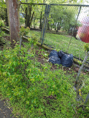 Zdjęcie 1 przedstawia problem zgłoszony w tym alercie