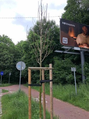 Zdjęcie 4 przedstawia problem zgłoszony w tym alercie