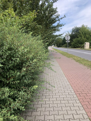 Zdjęcie 1 przedstawia problem zgłoszony w tym alercie