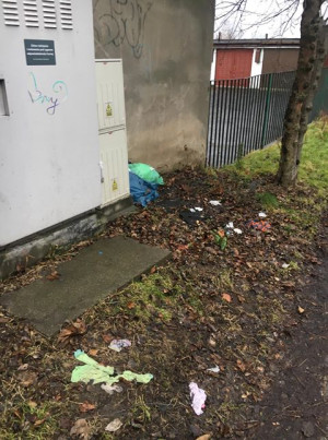 Zdjęcie 1 przedstawia problem zgłoszony w tym alercie