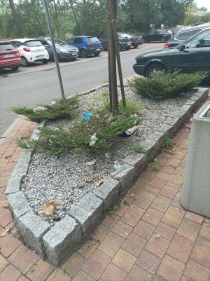 Zdjęcie 3 przedstawia problem zgłoszony w tym alercie