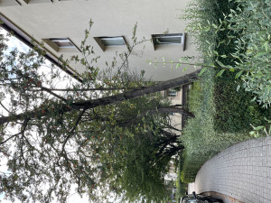 Zdjęcie 1 przedstawia problem zgłoszony w tym alercie