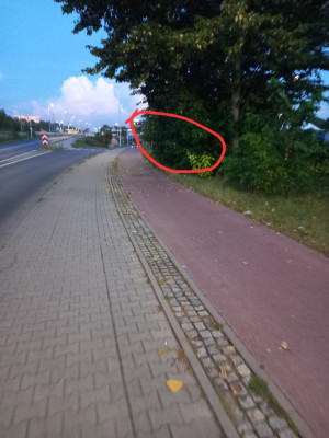 Zdjęcie 3 przedstawia problem zgłoszony w tym alercie