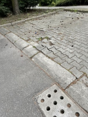 Zdjęcie 1 przedstawia problem zgłoszony w tym alercie