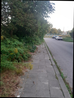 Zdjęcie 2 przedstawia problem zgłoszony w tym alercie