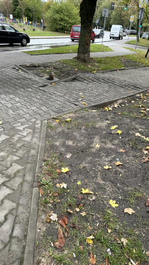 Zdjęcie 1 przedstawia problem zgłoszony w tym alercie