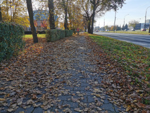 Zdjęcie 1 przedstawia problem zgłoszony w tym alercie