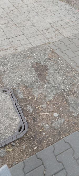 Zdjęcie 3 przedstawia problem zgłoszony w tym alercie