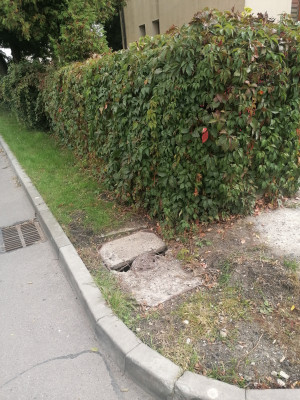 Zdjęcie 1 przedstawia problem zgłoszony w tym alercie