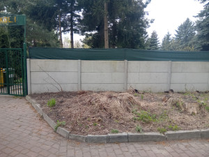 Zdjęcie 5 przedstawia problem zgłoszony w tym alercie