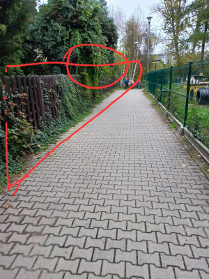 Zdjęcie 3 przedstawia problem zgłoszony w tym alercie