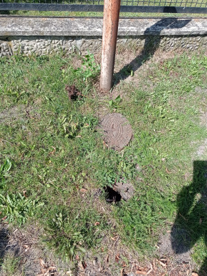 Zdjęcie 3 przedstawia problem zgłoszony w tym alercie