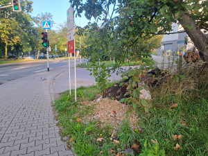 Zdjęcie 4 przedstawia problem zgłoszony w tym alercie