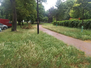 Zdjęcie 1 przedstawia problem zgłoszony w tym alercie
