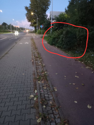 Zdjęcie 2 przedstawia problem zgłoszony w tym alercie
