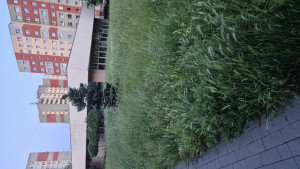 Zdjęcie 3 przedstawia problem zgłoszony w tym alercie