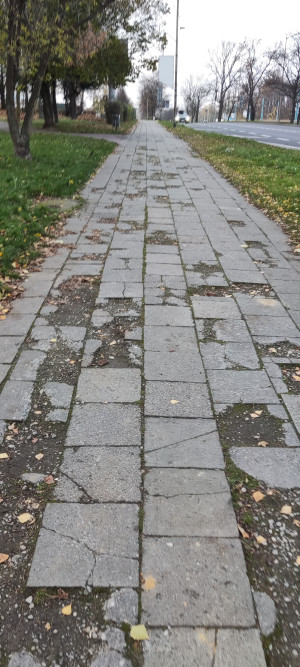 Zdjęcie 3 przedstawia problem zgłoszony w tym alercie