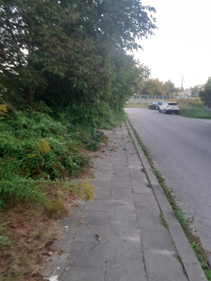 Zdjęcie 1 przedstawia problem zgłoszony w tym alercie