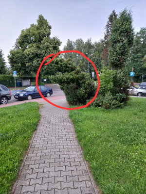 Zdjęcie 1 przedstawia problem zgłoszony w tym alercie