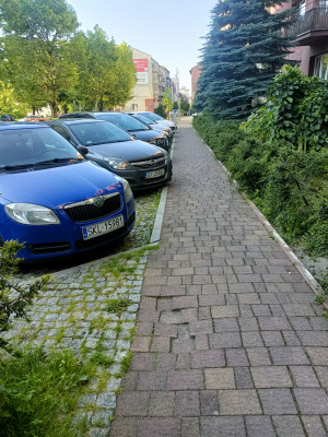 Zdjęcie 1 przedstawia problem zgłoszony w tym alercie