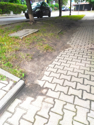 Zdjęcie 3 przedstawia problem zgłoszony w tym alercie
