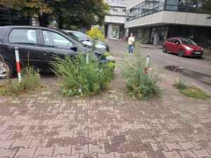 Zdjęcie 2 przedstawia problem zgłoszony w tym alercie
