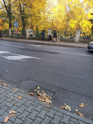 Zdjęcie 1 przedstawia problem zgłoszony w tym alercie