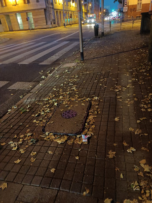 Zdjęcie 1 przedstawia problem zgłoszony w tym alercie