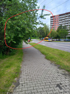 Zdjęcie 1 przedstawia problem zgłoszony w tym alercie