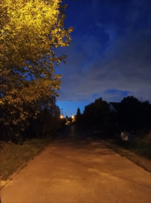 Zdjęcie 1 przedstawia problem zgłoszony w tym alercie