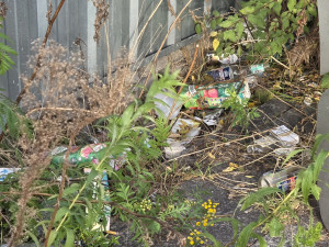 Zdjęcie 3 przedstawia problem zgłoszony w tym alercie