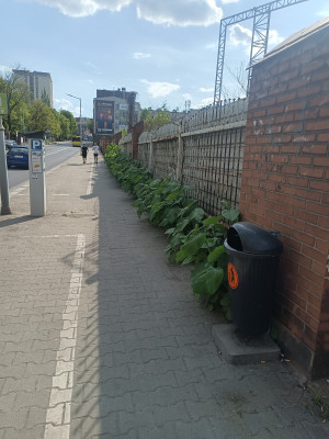 Zdjęcie 1 przedstawia problem zgłoszony w tym alercie
