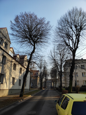 Zdjęcie 5 przedstawia problem zgłoszony w tym alercie