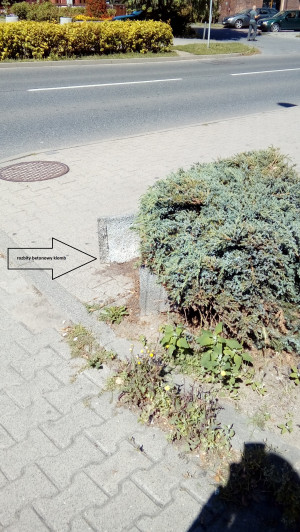 Zdjęcie 1 przedstawia problem zgłoszony w tym alercie