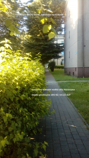 Zdjęcie 5 przedstawia problem zgłoszony w tym alercie