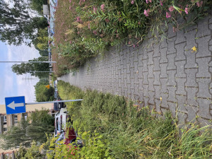 Zdjęcie 2 przedstawia problem zgłoszony w tym alercie