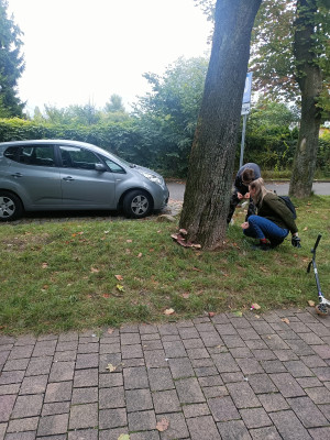 Zdjęcie 1 przedstawia problem zgłoszony w tym alercie