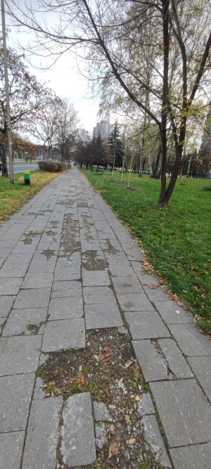 Zdjęcie 1 przedstawia problem zgłoszony w tym alercie