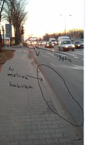Zdjęcie 1 przedstawia problem zgłoszony w tym alercie