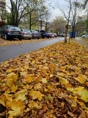 Zdjęcie 3 przedstawia problem zgłoszony w tym alercie