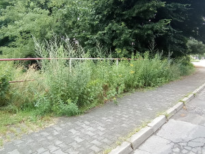 Zdjęcie 1 przedstawia problem zgłoszony w tym alercie