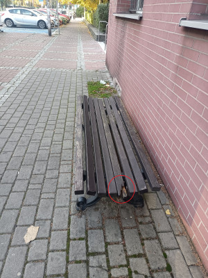 Zdjęcie 1 przedstawia problem zgłoszony w tym alercie