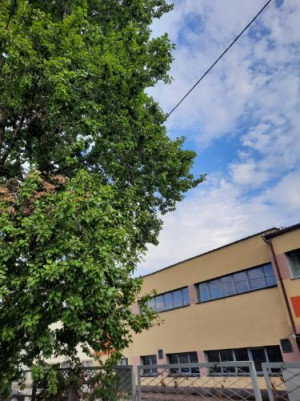Zdjęcie 2 przedstawia problem zgłoszony w tym alercie