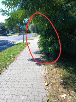Zdjęcie 1 przedstawia problem zgłoszony w tym alercie