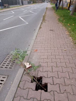 Zdjęcie 2 przedstawia problem zgłoszony w tym alercie