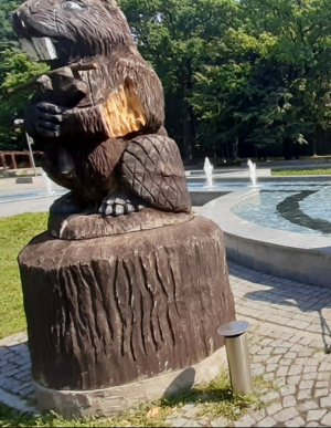 Zdjęcie 1 przedstawia problem zgłoszony w tym alercie