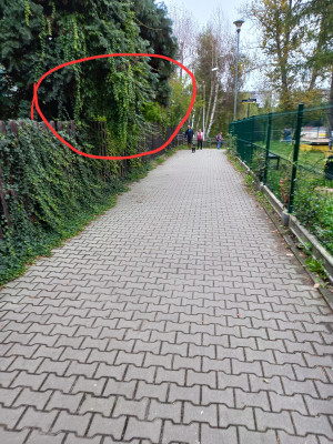 Zdjęcie 2 przedstawia problem zgłoszony w tym alercie