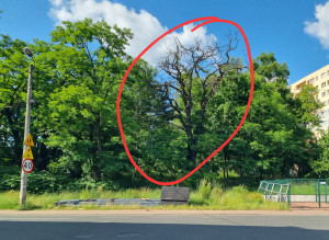 Zdjęcie 2 przedstawia problem zgłoszony w tym alercie