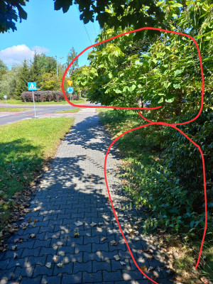 Zdjęcie 1 przedstawia problem zgłoszony w tym alercie