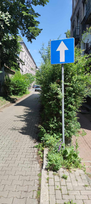 Zdjęcie 1 przedstawia problem zgłoszony w tym alercie